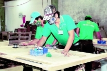 Vietnamese timber seeks national brand name