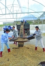 Trade treaty with EU to benefit  Vietnam’s  agriculture