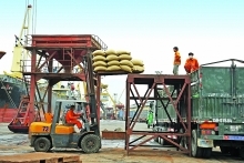 New market opportunities open up for Vietnam’s rice exports