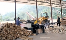 Thanh Hoa effectively implements industry promotion projects