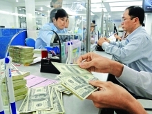 High trade surplus helps reduce exchange rate pressure