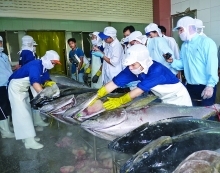 Vietnam says no to IUU fishing to lift EU sanction