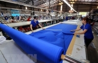 Hiệp định CPTPP chính thức có hiệu lực đối với Việt Nam từ 14/1