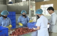 Bắc Giang: Đổi mới căn bản hoạt động thương mại