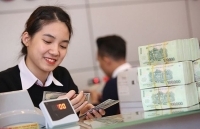 Lợi nhuận các ngân hàng: Đổi ngôi bất ngờ