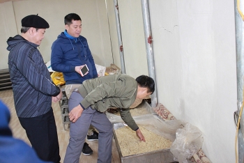 Tăng cường công tác cấp giấy phép sản xuất rượu thủ công tại tỉnh Ninh Bình