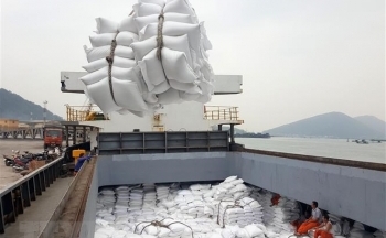Tín hiệu tích cực từ thị trường xuất khẩu gạo