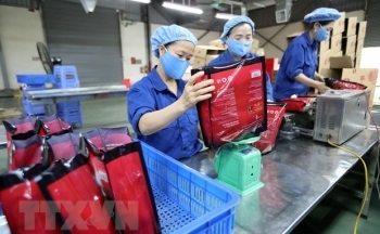 Xuất khẩu của Việt Nam sang Israel tiếp tục hồi phục trong năm 2020