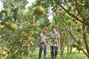 Đồng Tháp- Nhiều hoạt động thúc đẩy khởi nghiệp