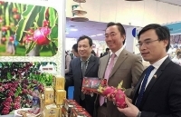 Việt Nam - Ấn Độ: Hợp tác ngày càng bền chặt