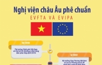[Infographic] Tiến trình Nghị viện châu Âu phê chuẩn EVFTA và EVIPA