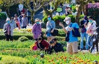 Giá vé giảm sâu, thị trường du lịch rục rịch sôi động trở lại