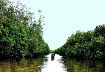 Chuyện ba khía nơi đất mũi