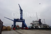 2 tháng đầu năm, kim ngạch xuất khẩu hàng hóa của Nghệ An tăng hơn 33%