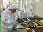Khởi nghiệp phải chấp nhận rủi ro