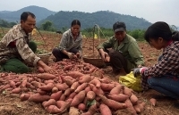 Để không còn điệp khúc