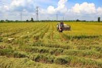 Ngành Công Thương Long An: Sát cánh cùng doanh nghiệp