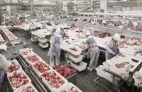 Tạo điều kiện để thịt lợn Nga vào thị trường Việt Nam