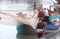 Quảng Bình: Ngư dân được mùa ruốc biển