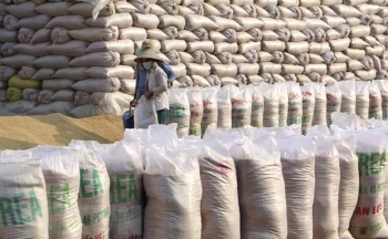 Gạo Việt Nam đạt mức cao nhất 9 năm do nhu cầu thế giới tăng mạnh