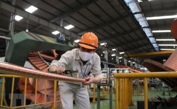 Hải Dương nhanh chóng phục hồi sản xuất, kinh doanh sau dịch COVID-19