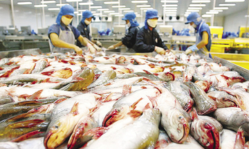 Xuất khẩu cá tra bền vững: Cần song hành cùng truyền thông