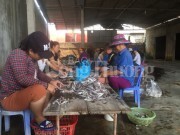 Báo động ô nhiễm môi trường từ các làng nghề Nghệ An