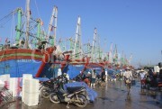Nghệ An thêm 101 chủ tàu được vay vốn theo Nghị định 67