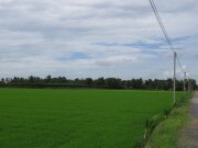 Đổi thay trên quê hương “Người mẹ cầm súng”