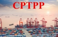 Hỗ trợ doanh nghiệp tận dụng cơ hội từ CPTPP