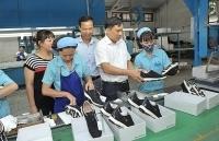 Doanh nghiệp Việt Nam: Tận dụng hiệu quả các FTA