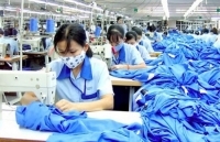 Thực thi CPTPP: Áp lực và cơ hội