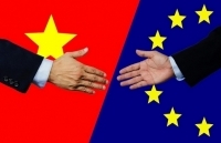 Tận dụng EVFTA để củng cố vị thế của Việt Nam trong làn sóng phát triển ASEAN