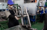 “Sống khỏe” nhờ biết chớp thời cơ