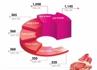 Infographic: Thiếu nguồn cung, giá thịt lợn khó giảm