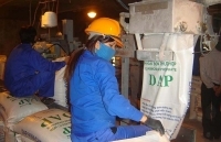 Tạo “sân chơi” công bằng cho doanh nghiệp phân bón