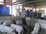 Gương thanh niên học tập và làm theo lời Bác