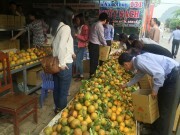 Chuyện giảm nghèo ở Mường Thàng