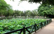 Phấn đấu xây dựng Kim Liên - Nghệ An thành xã nông thôn mới kiểu mẫu
