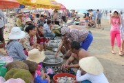 Xây dựng thương hiệu “ngao Hậu Lộc”