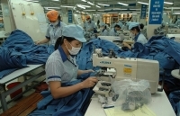 Củng cố quan hệ hợp tác Việt Nam - Thụy Điển