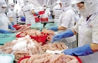 Xuất khẩu thủy sản sang Nga: Chưa tận dụng được cơ hội từ FTA