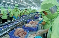 Phòng vệ Thương mại: “Lá chắn” bảo vệ doanh nghiệp