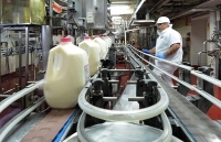 Vinamilk và nhà máy sữa tại Mỹ cùng chung tay ủng hộ người dân gặp khó khăn trong đại dịch Covid-19