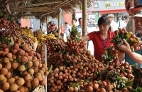 Không bị động trong tiêu thụ vải thiều - Kỳ II: Chú trọng thị trường nội địa