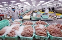 Số doanh nghiệp thành lập mới tăng 36% trong tháng 5/2020 nhờ kiểm soát tốt COVID-19