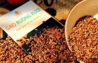 Đề cử Gạo ruộng rươi Kiến Thụy: Tham gia Hành trình tìm kiếm, quảng bá TOP ẩm thực và đặc sản Việt Nam 2020