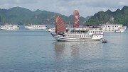 Tạm đình chỉ 4 tàu du lịch vịnh Hạ Long vì “chặt chém”