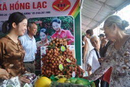 Vải thiều chinh phục thị trường bằng chất lượng, thương hiệu