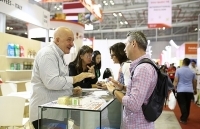 Hợp tác kinh tế Việt Nam – Italy: Phát triển tích cực